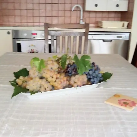 Grand Vista Apartman